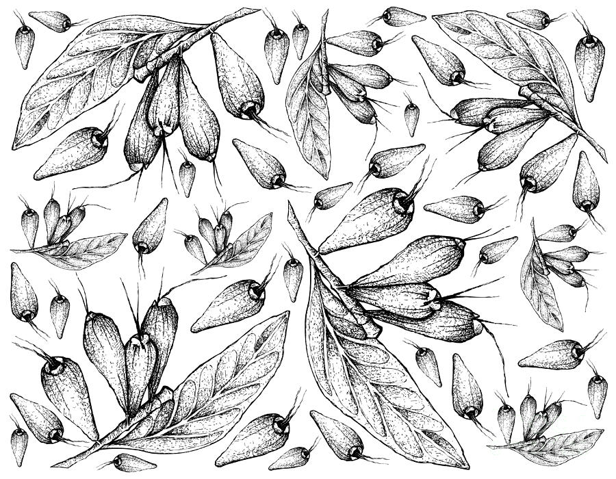 Drawing - 900x700 Wallpaper - teahub.io