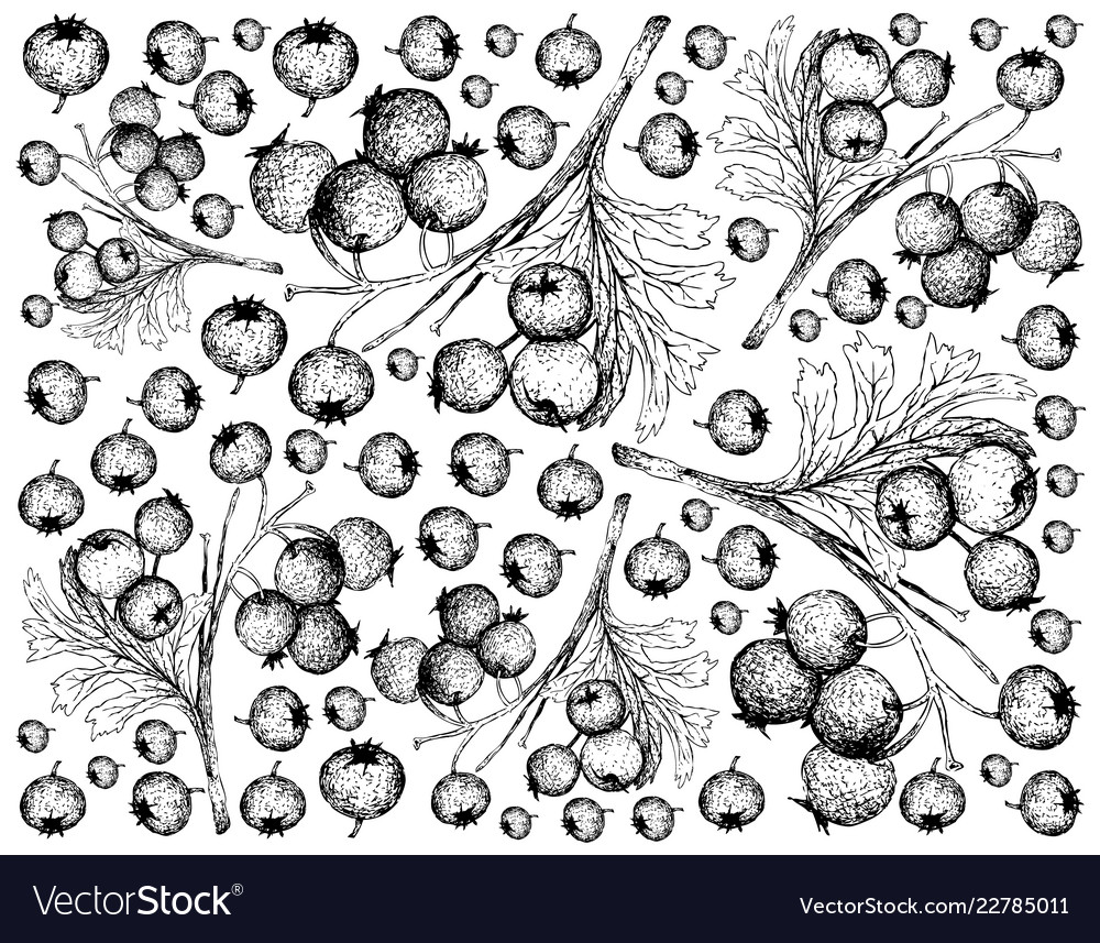 Pizza Doodles - HD Wallpaper 