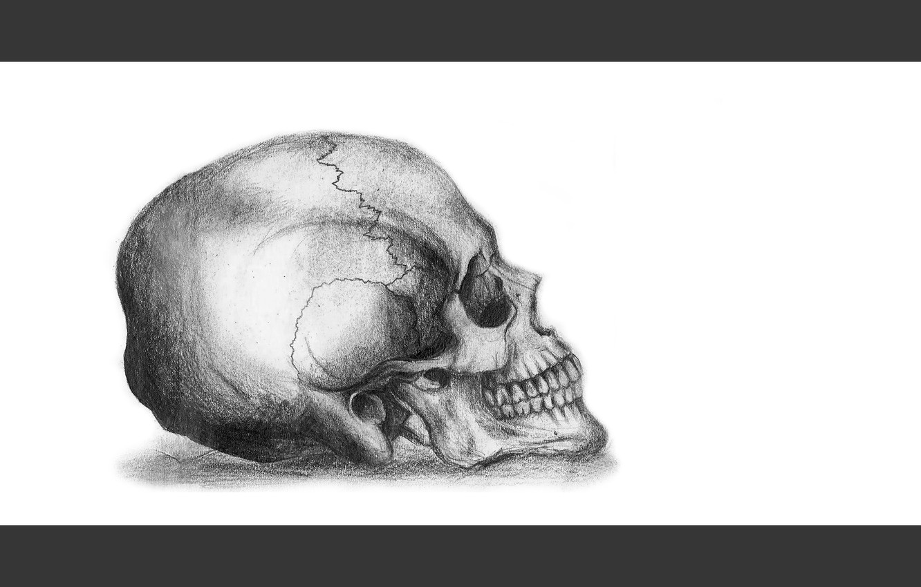 Photo Wallpaper Sake, White, Art, Death, Pencil, Drawing - Skull - HD Wallpaper 