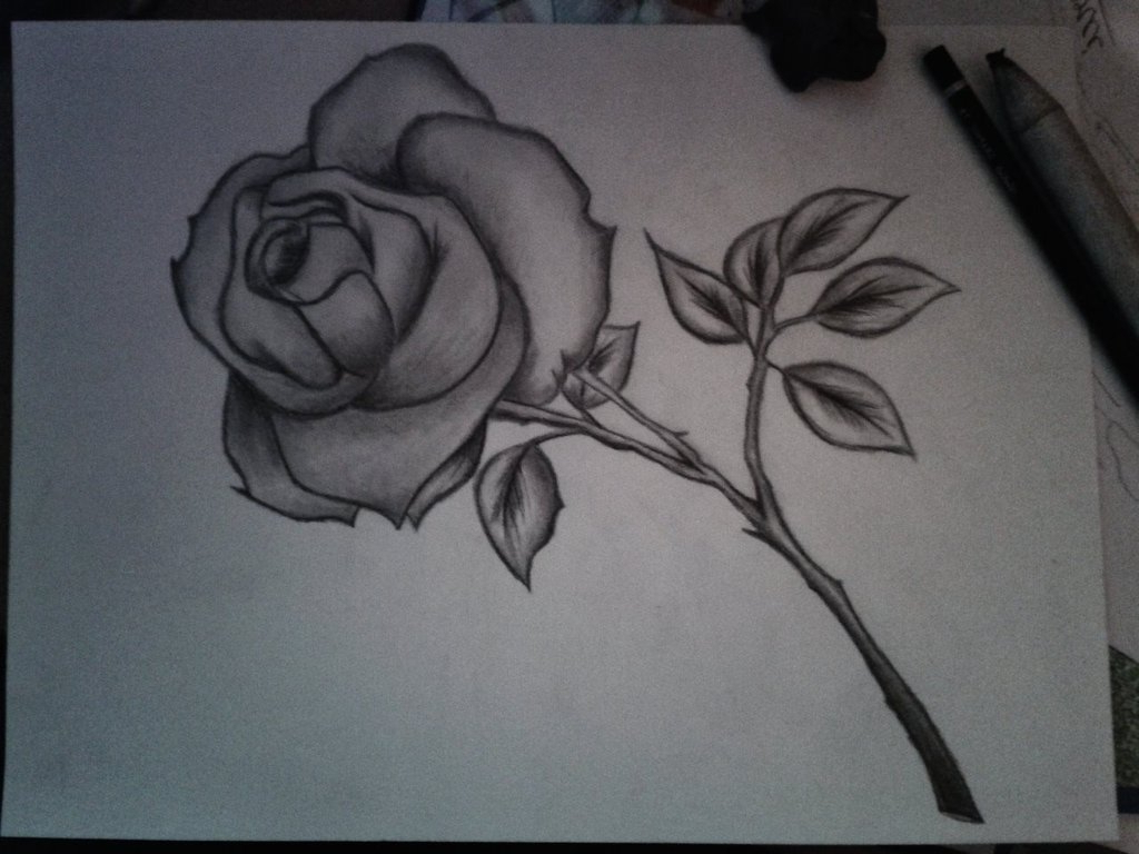Flowers Pencil Sketch Art Pencil Art Flowers Flower - Flower Pencil Sketch Drawing - 1024x768 Wallpaper Flowers Pencil Sketch Art Pencil Art Flowers Flower - Flower Pencil Sketch Drawing - 1024x768 Wallpaper
