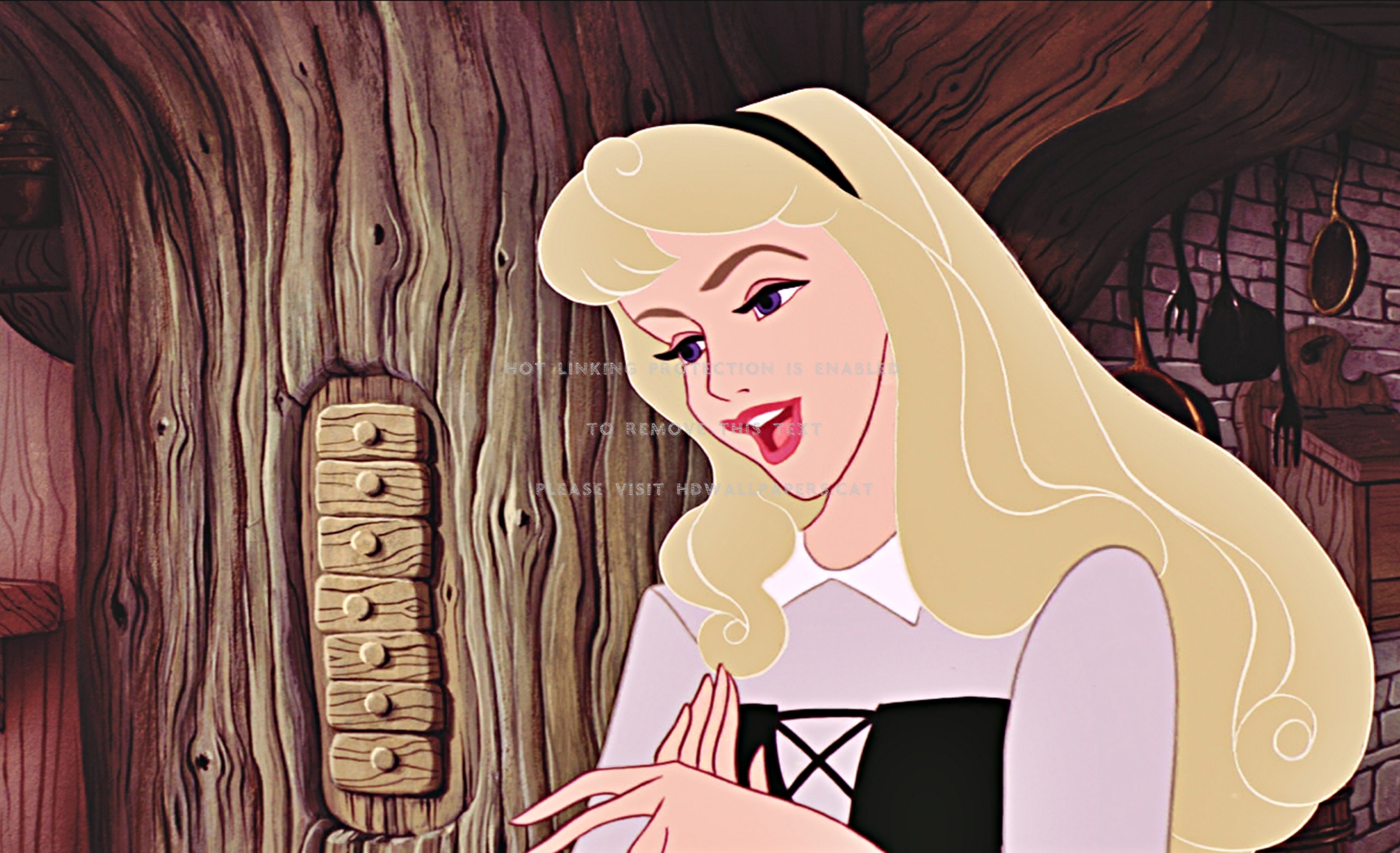 Sleeping Beauty Princess Disney Aurora - Disney Princess Memes Faces - HD Wallpaper 
