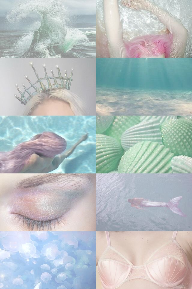 Pink Seashells - HD Wallpaper 