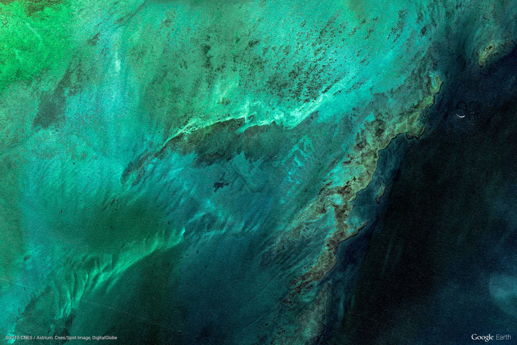 Android Easter Egg 8.0 - HD Wallpaper 