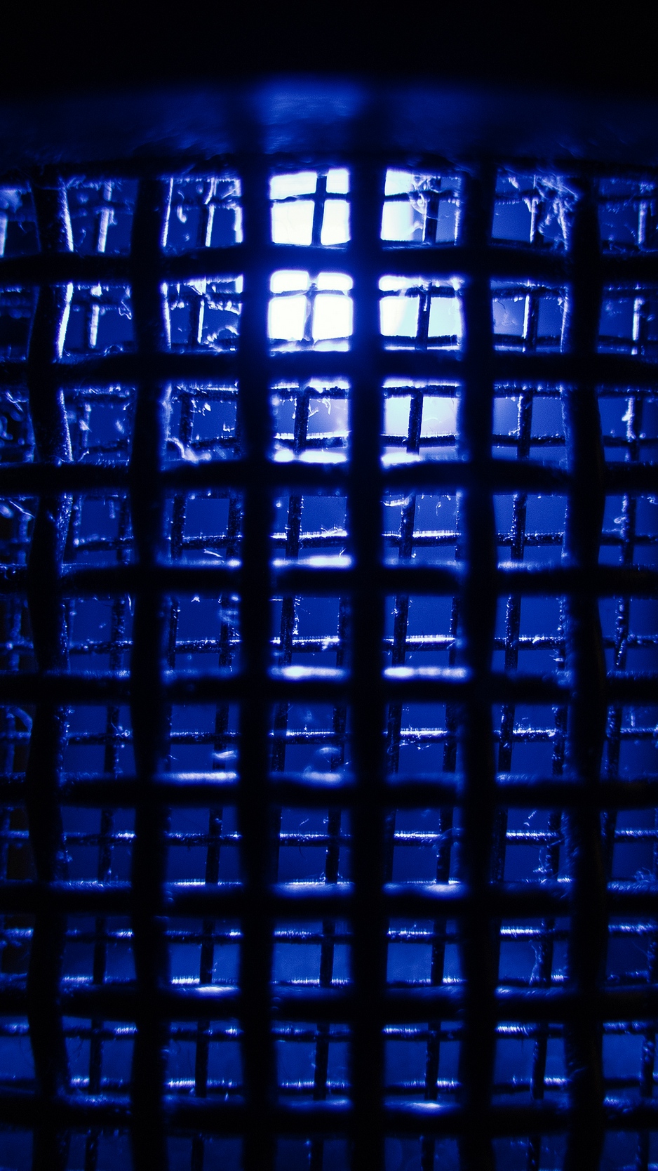 Wallpaper Lattice, Grid, Blue, Dark - Dark Blue - HD Wallpaper 