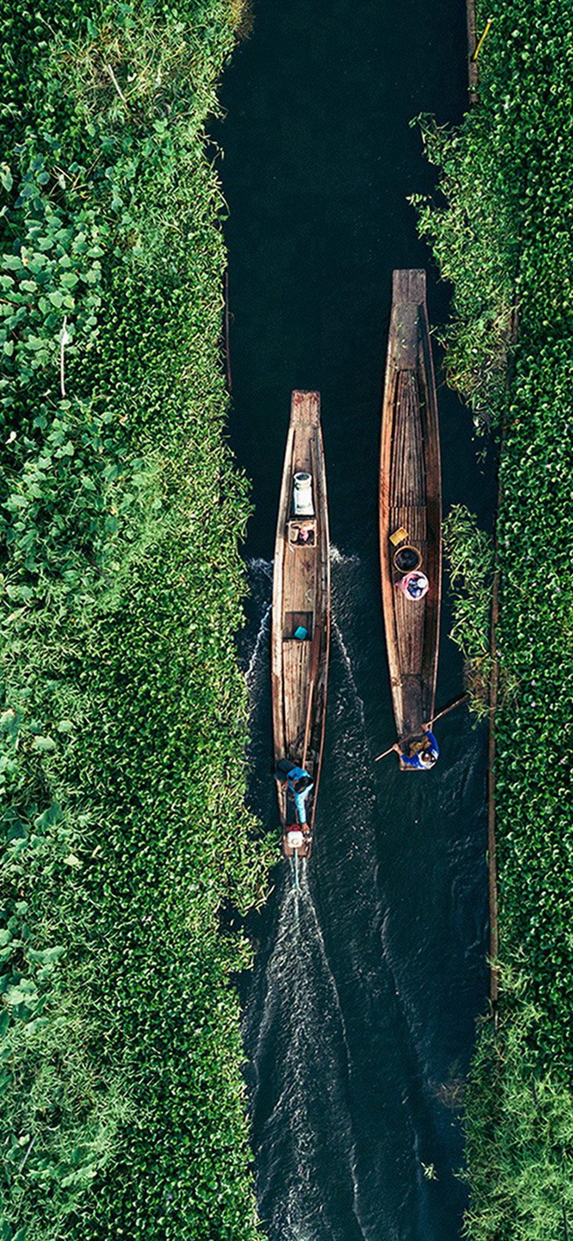 All Green Wallpaper For Iphone 8 - HD Wallpaper 