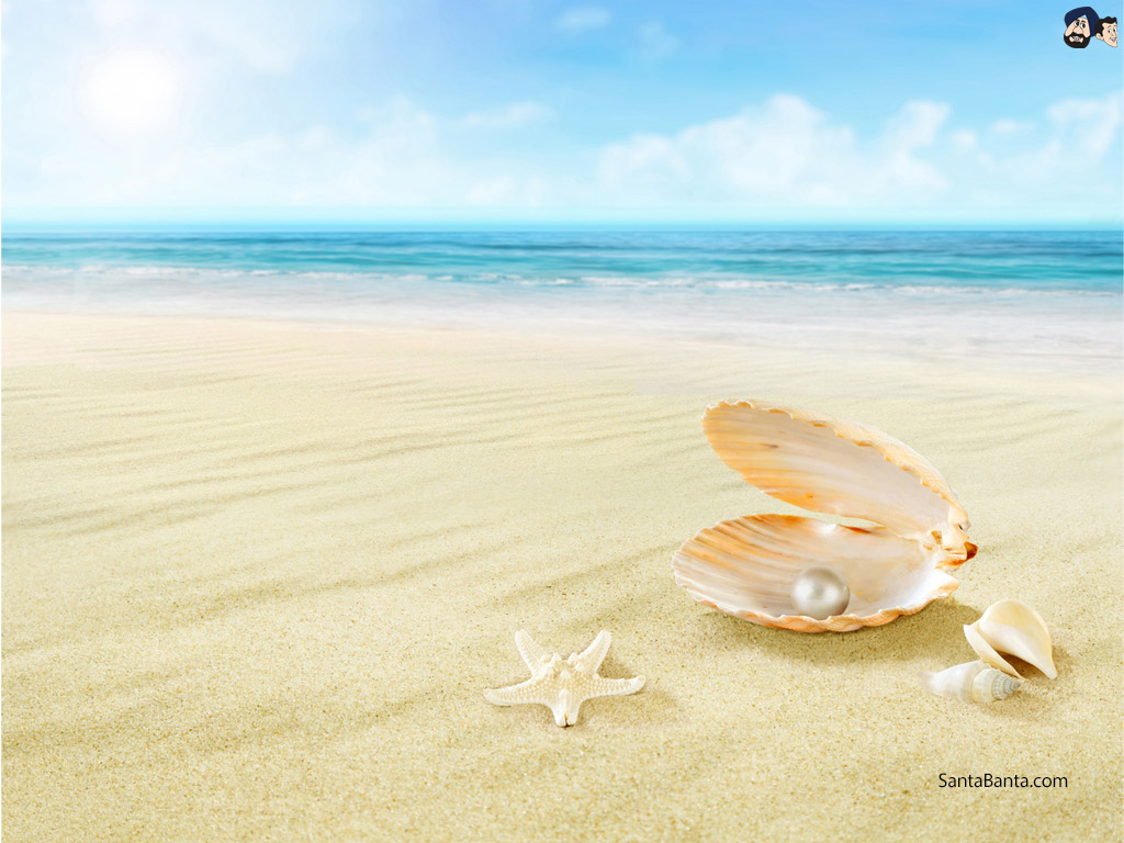 Perola Fundo Do Mar - HD Wallpaper 