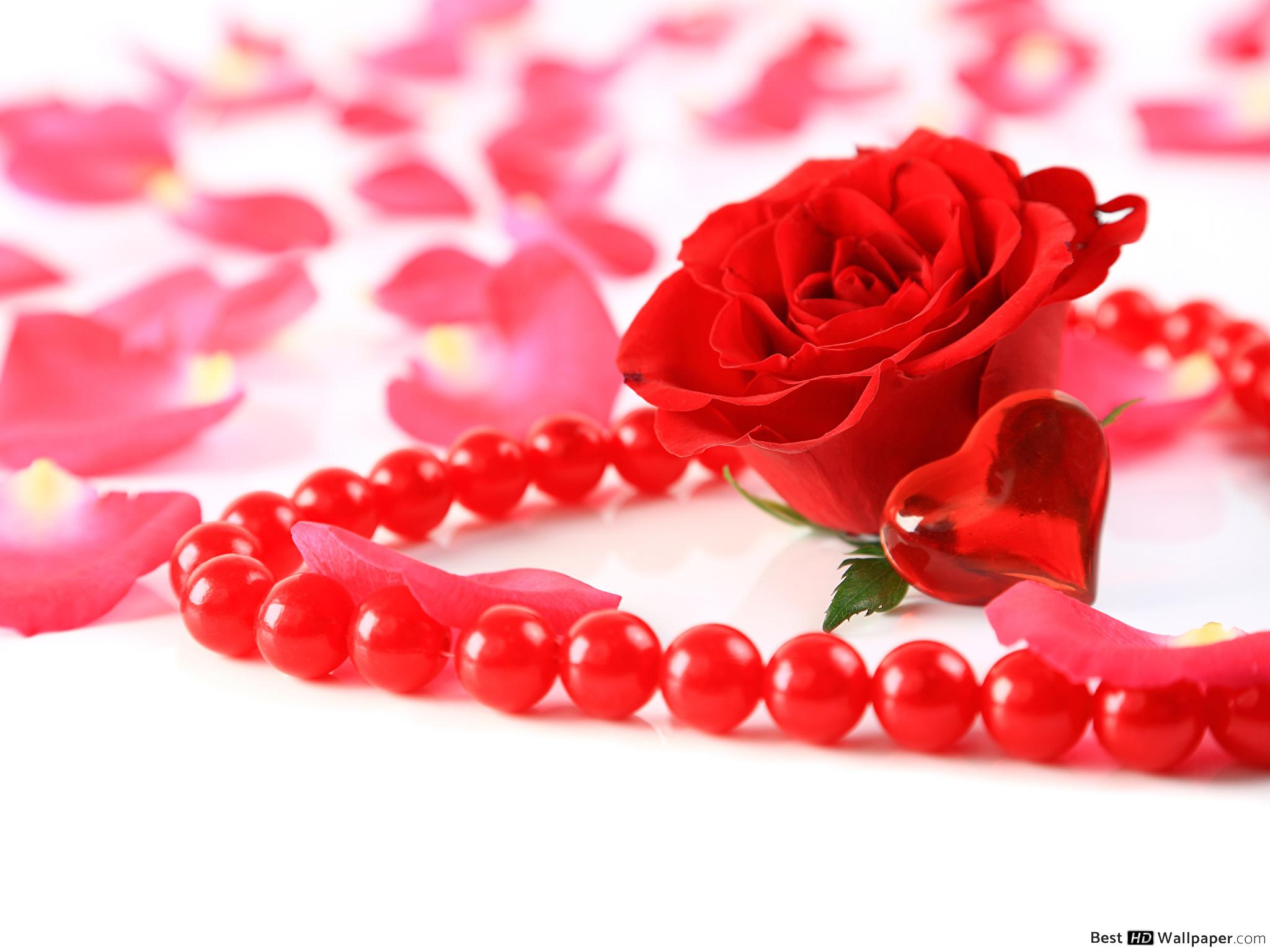 Днем Рождения Любимая Жена - HD Wallpaper 