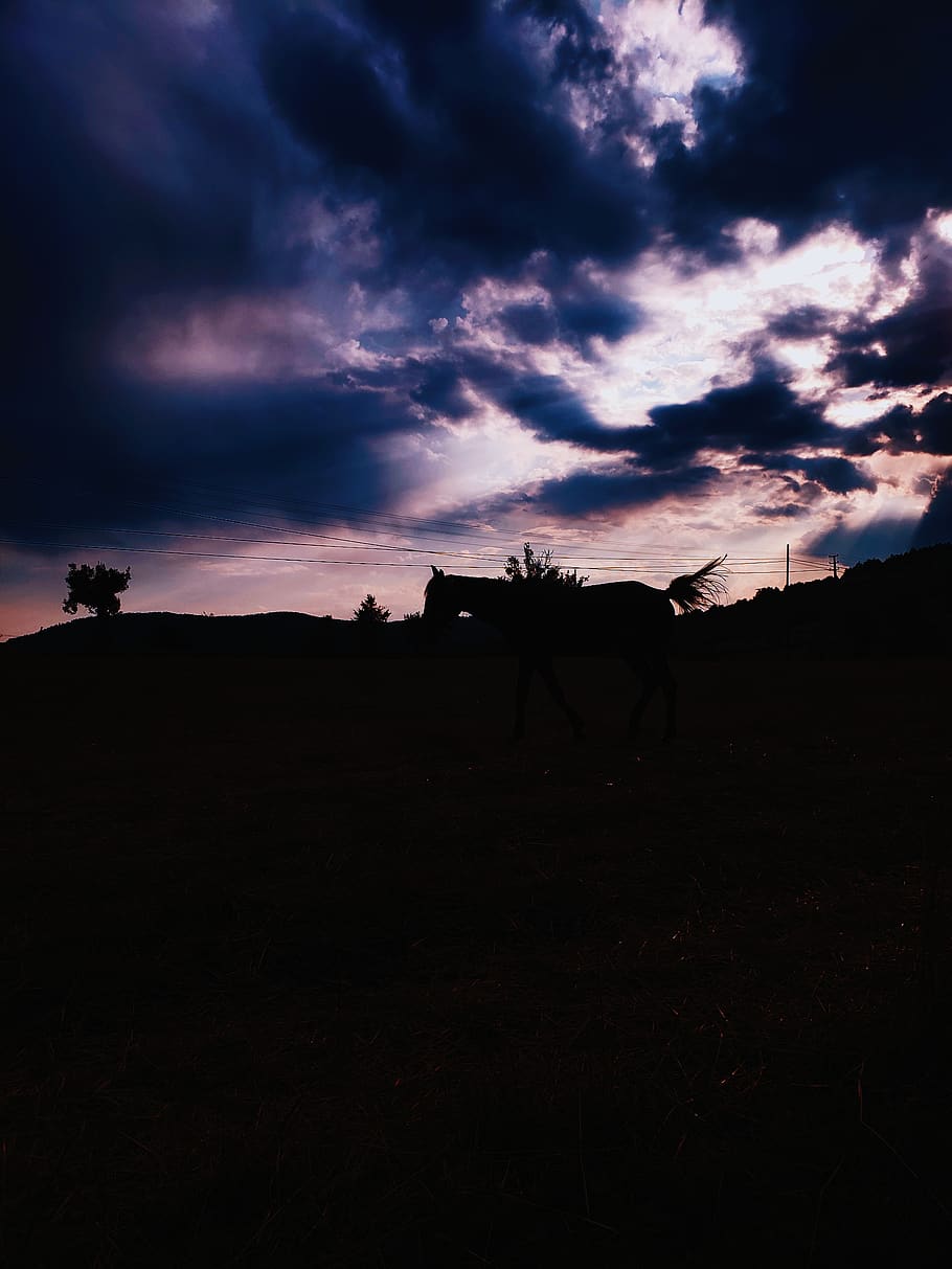 Turkey, Daday, Black Pearl, Inverse Light, Purple, - HD Wallpaper 