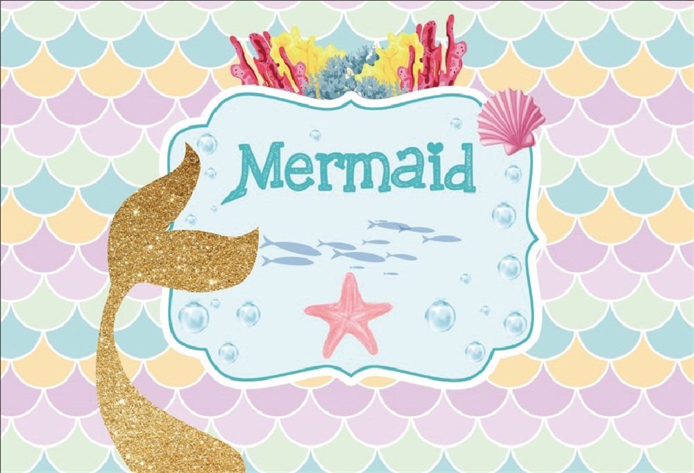 Photographic Studio - HD Wallpaper 