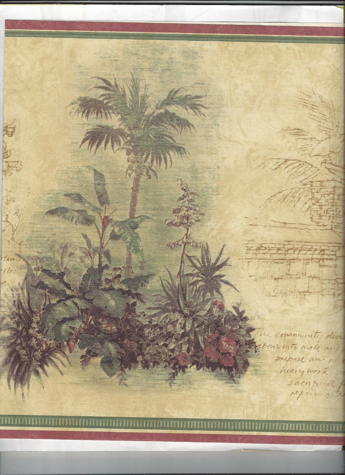 Attalea Speciosa - HD Wallpaper 