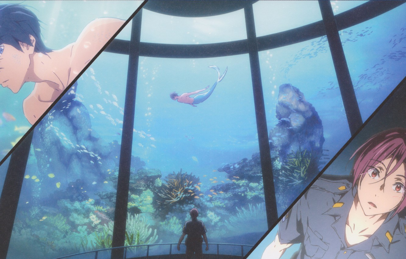 Photo Wallpaper Fish, Algae, Meeting, Mermaid, Aquarium, - Mermaid In Aquarium Art - HD Wallpaper 