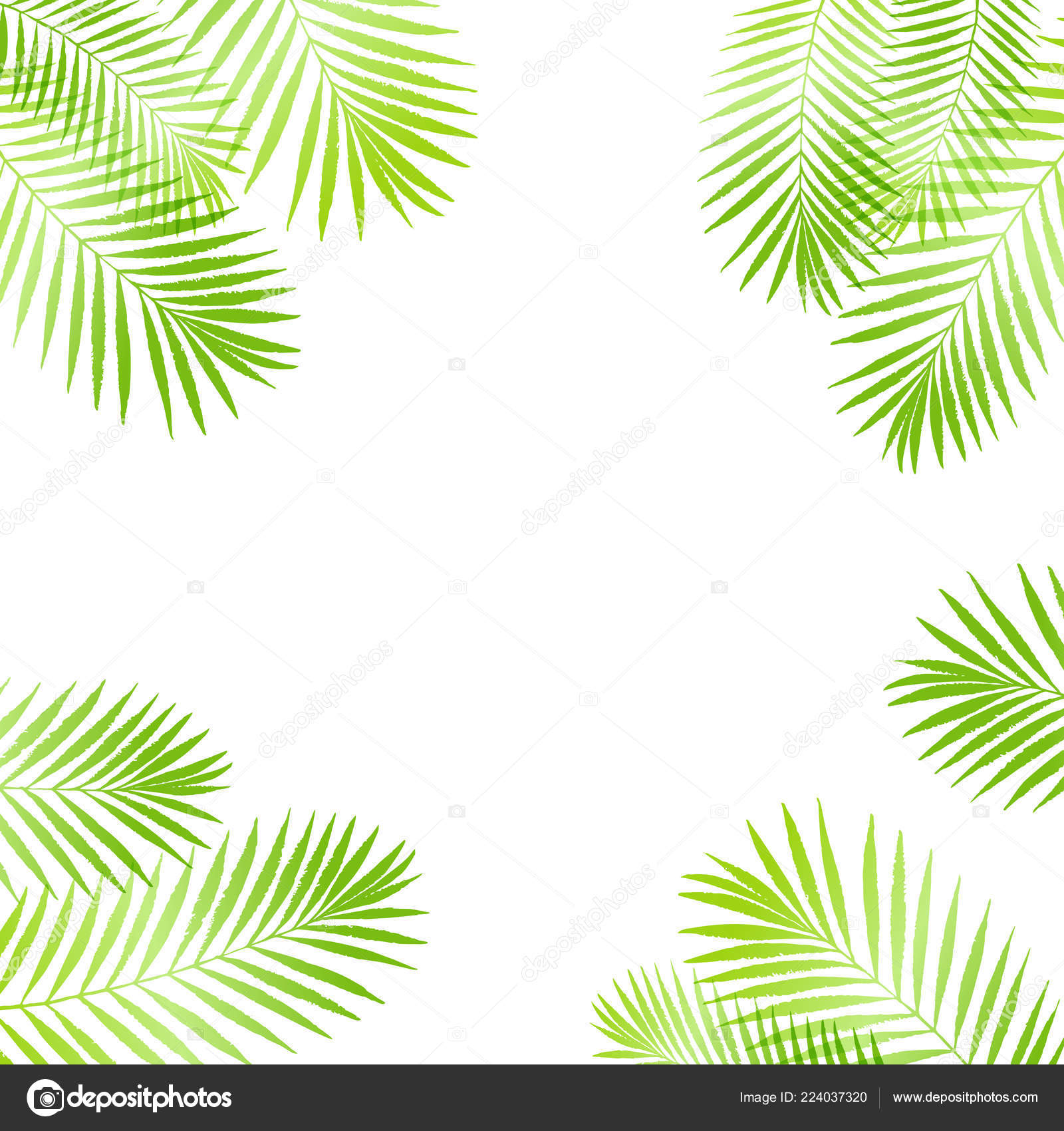 Palm Tree Poster Border - HD Wallpaper 