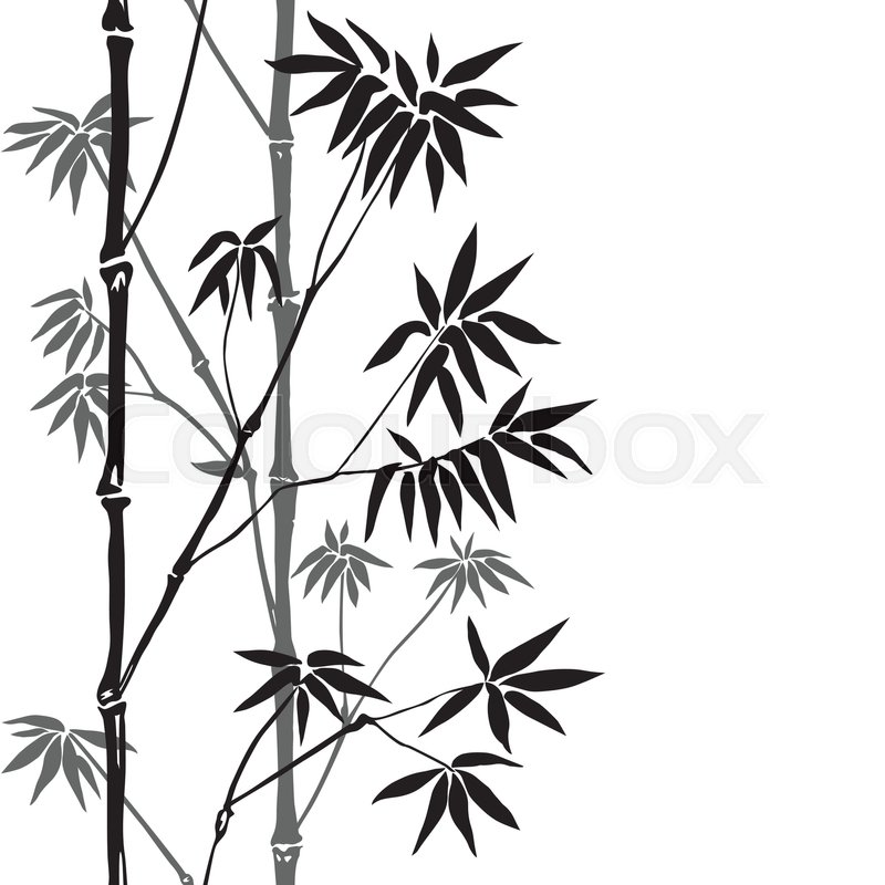 Black And White Border Design Bamboo - 800x800 Wallpaper 