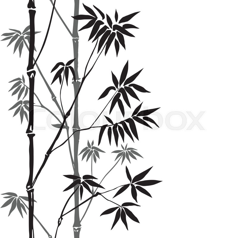 Black And White Border Design Bamboo - HD Wallpaper 