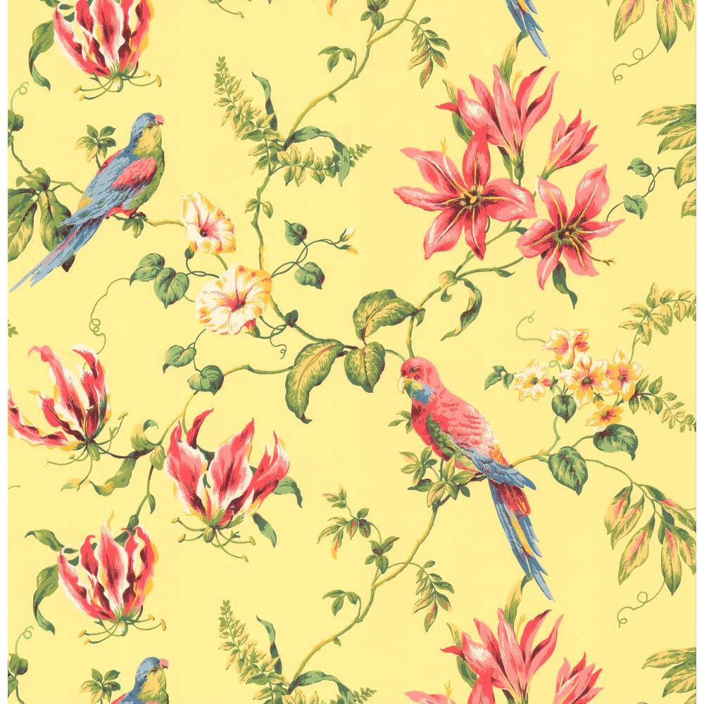 Tropical Wallpaper Border - 1000x1000 Wallpaper - teahub.io