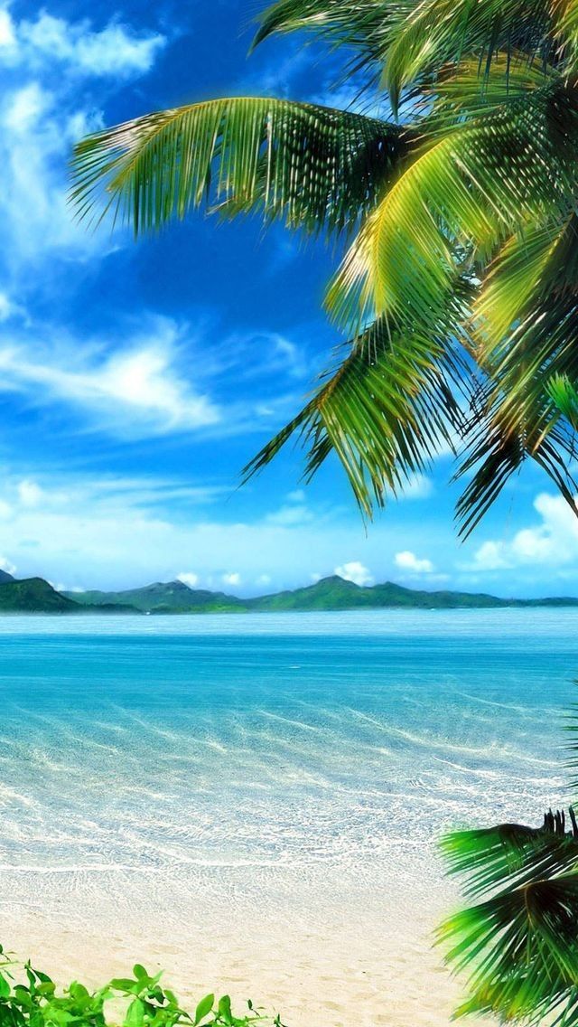 Iphone 5 Wallpaper Beach - HD Wallpaper 