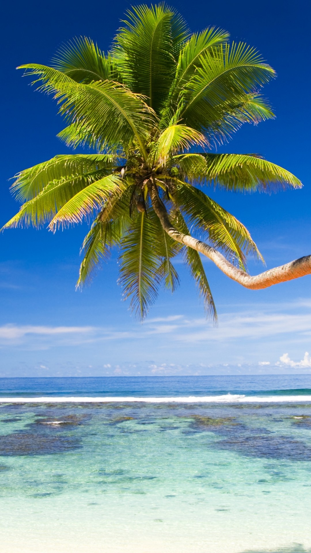 Beach - HD Wallpaper 