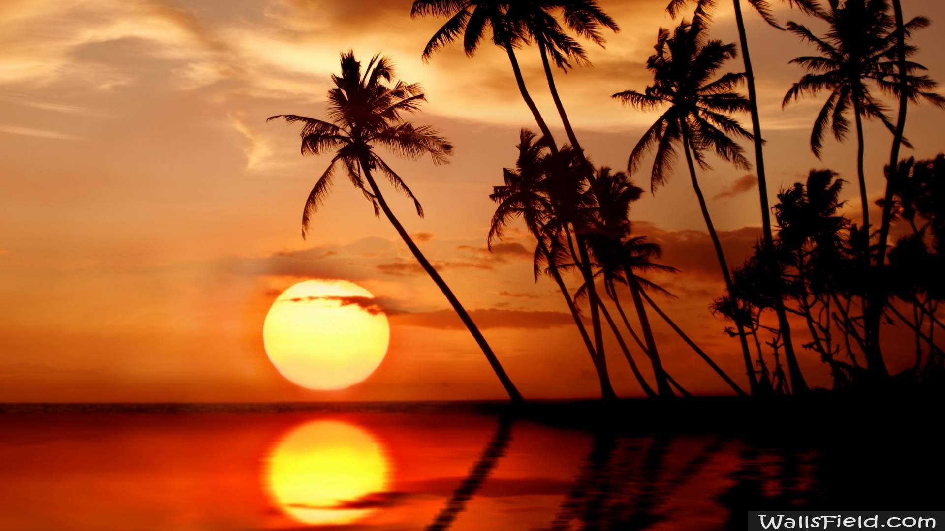Sunset In Sri Lanka - HD Wallpaper 