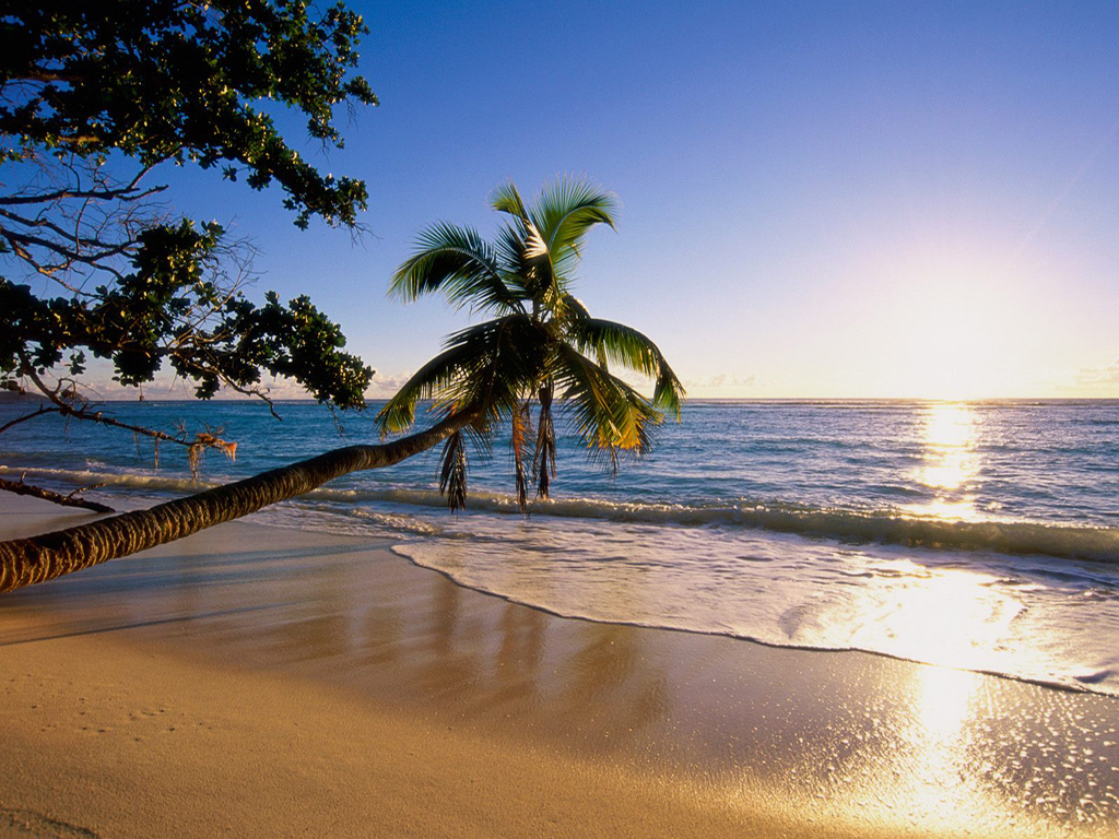 Beautiful Beach Wallpaper - Island Scenery - HD Wallpaper 