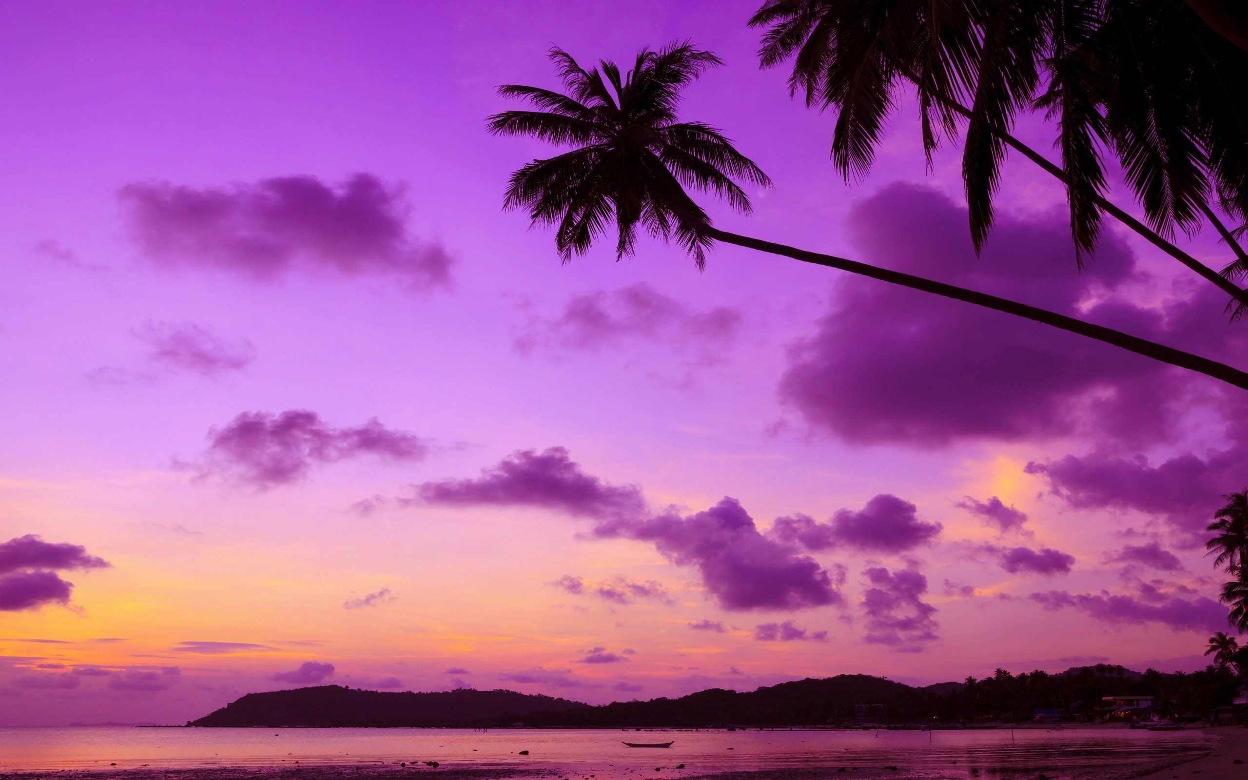 Aesthetic Wallpaper Palm Tree - HD Wallpaper 