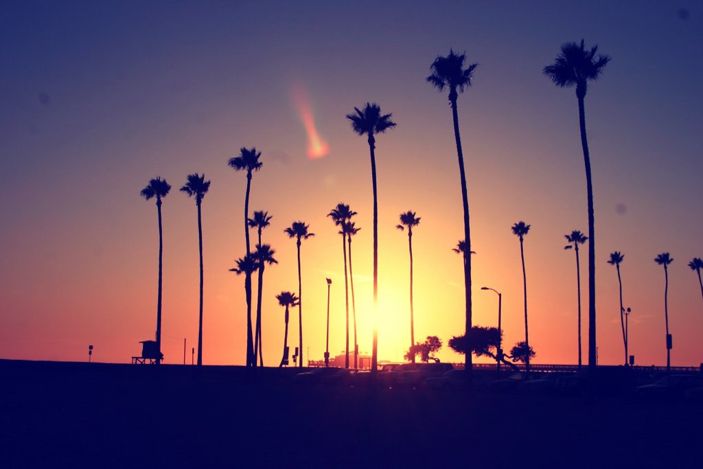 Cali Is The Mission - HD Wallpaper 