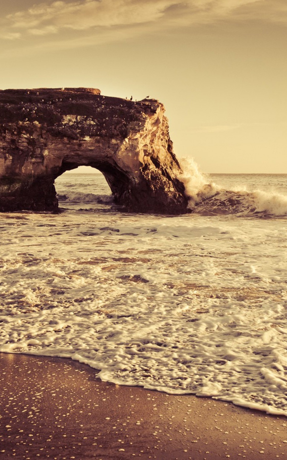 Natural Bridges State Beach - HD Wallpaper 