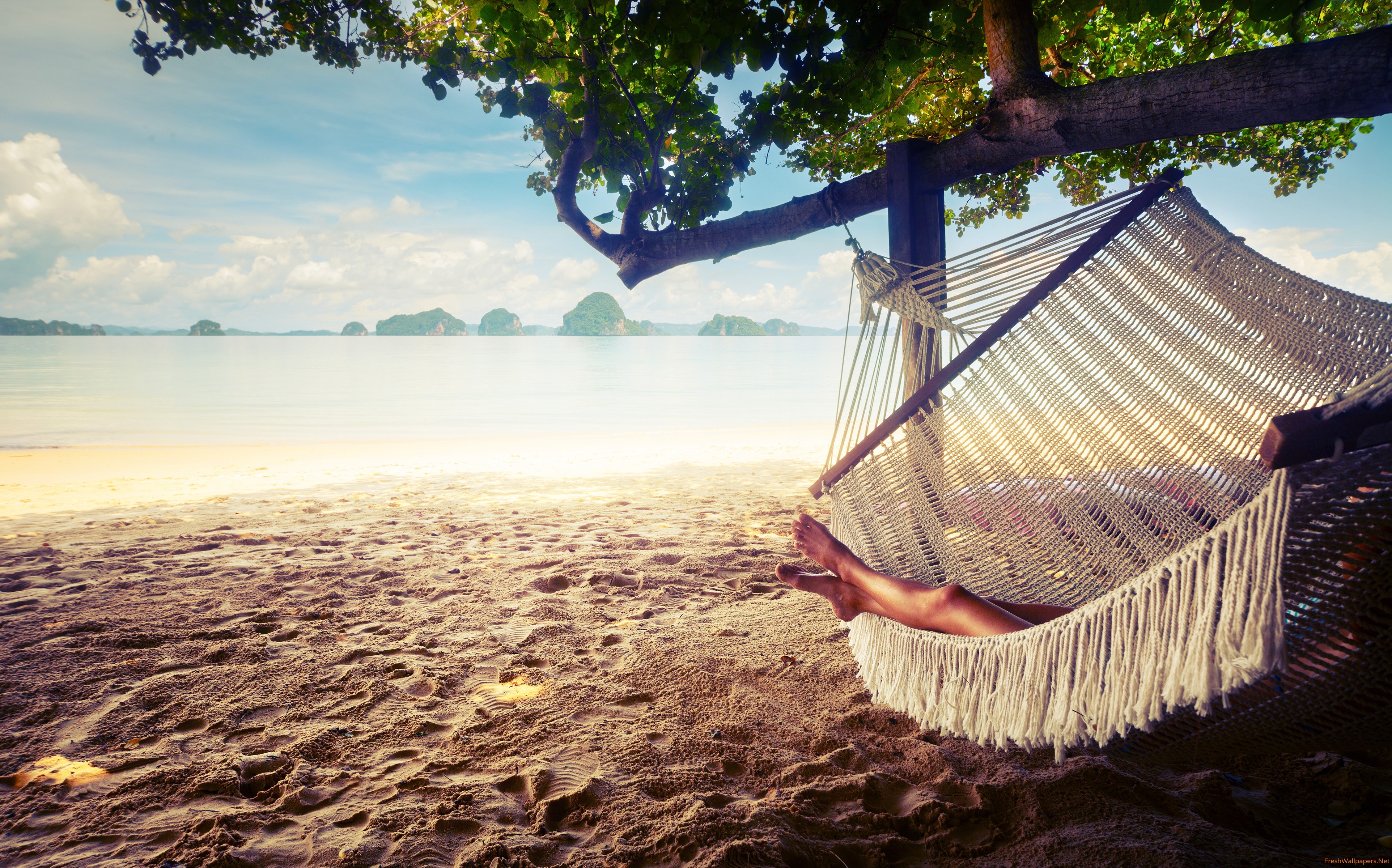 Hammock Relaxing - HD Wallpaper 