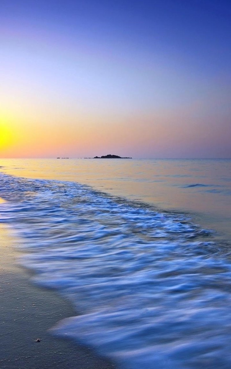 Wallpaper - HD Wallpaper 