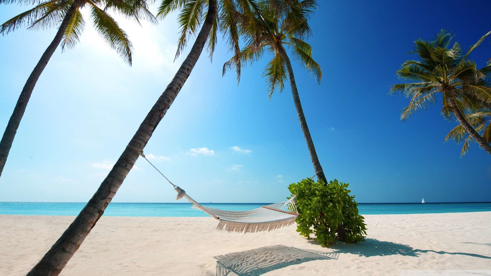 Hammock On Tropical Beach Wallpaper 1080p Hd - Beach Hd Wallpapers 1080p - HD Wallpaper 