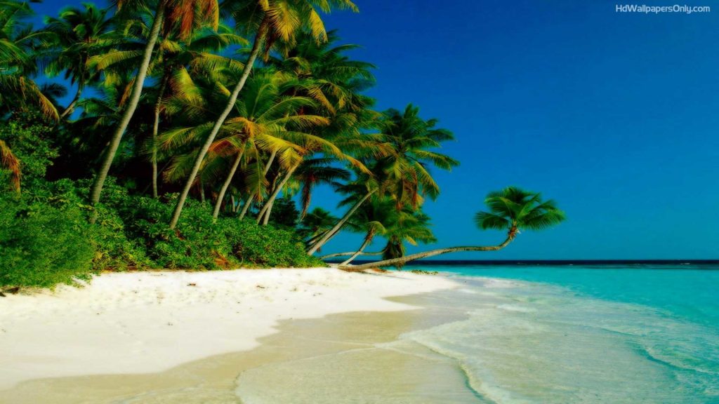 Beach Wallpaper Backgrounds Free Beach Wallpaper Backgrounds - Tropical Island Background - HD Wallpaper 