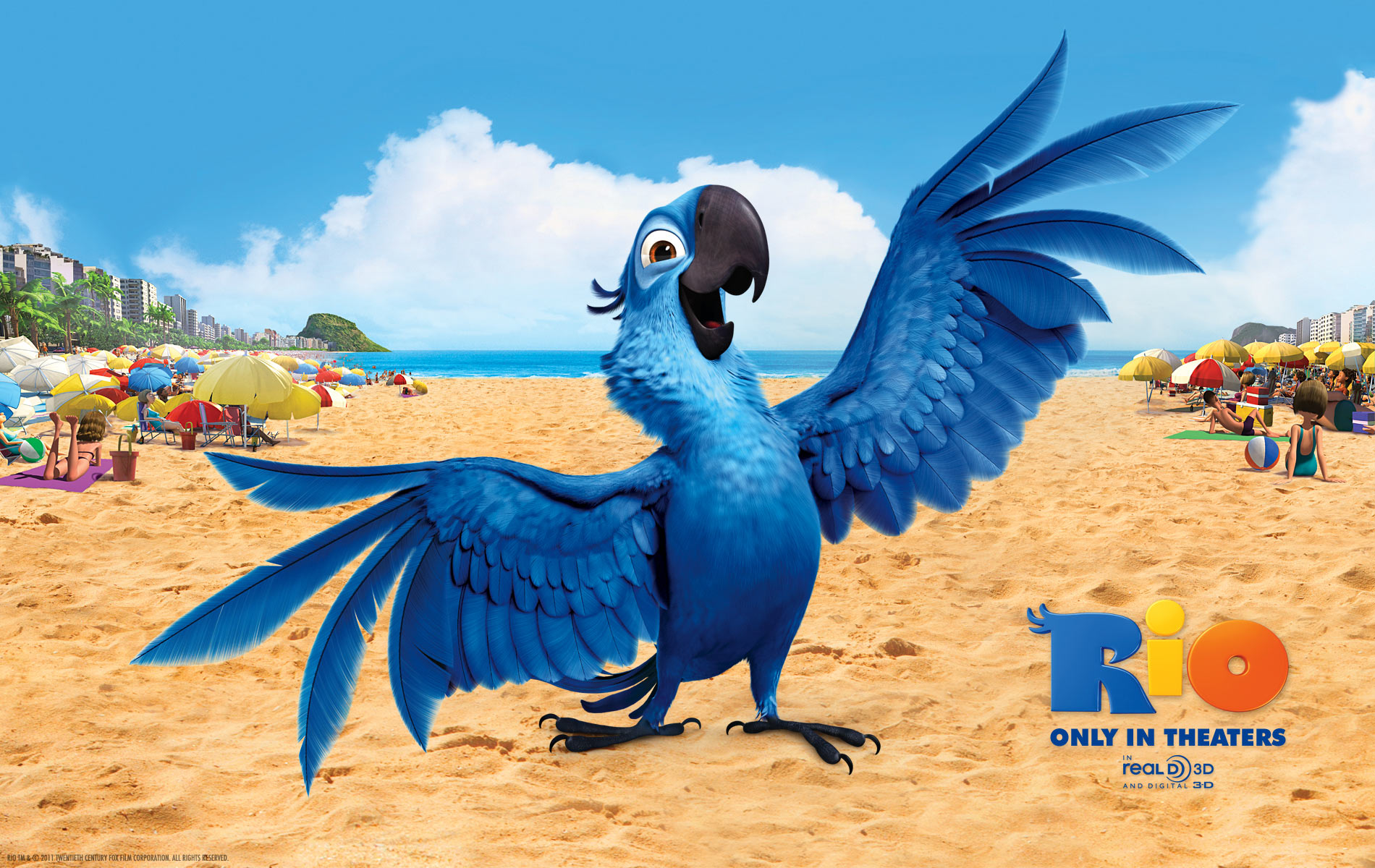 Rio Cartoon - HD Wallpaper 