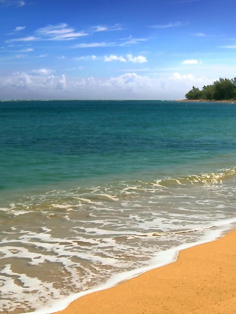 Hawaii Five Cities Beach - Hawaii Beach Wallpaper Iphone - HD Wallpaper 