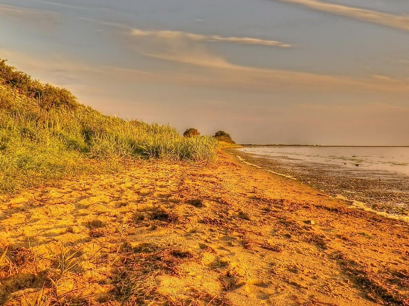 Lone Sunny Beach Hdr Wallpaper - Grass - HD Wallpaper 