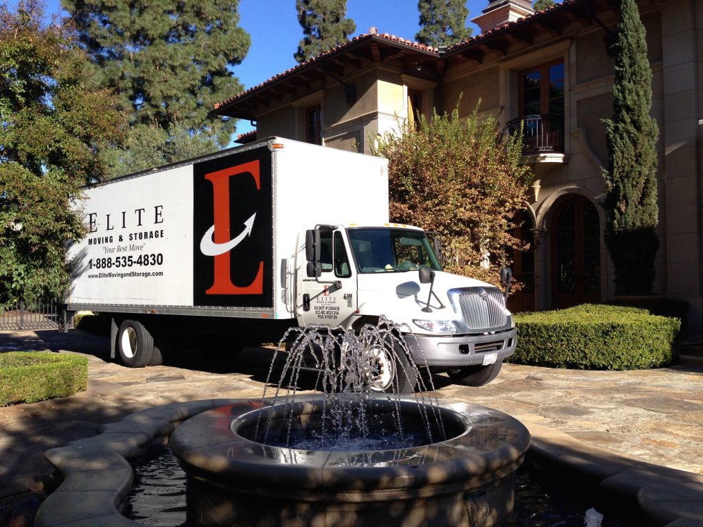 Movers In Hermosa Beach - Tree - HD Wallpaper 