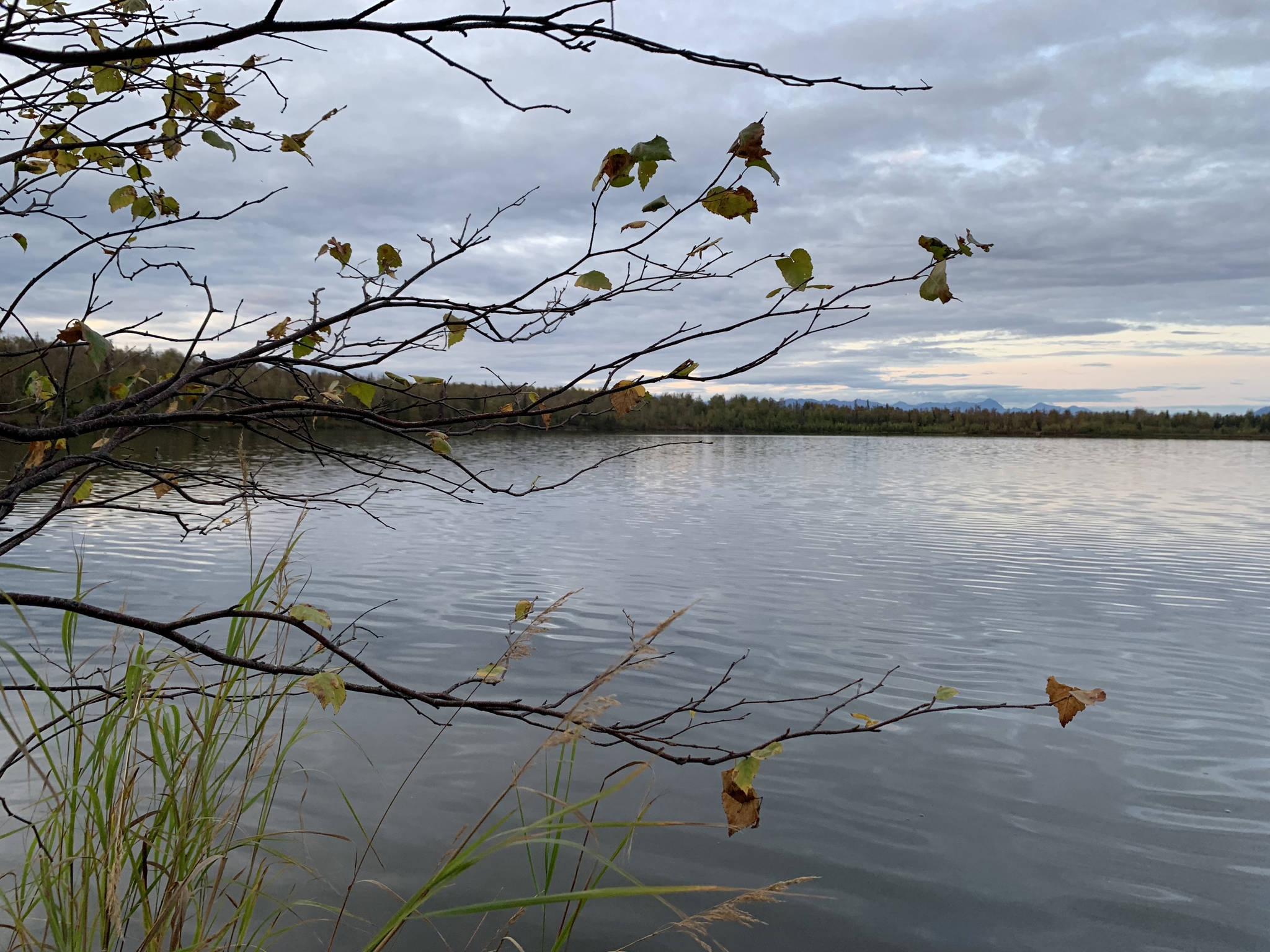 Reflection - HD Wallpaper 