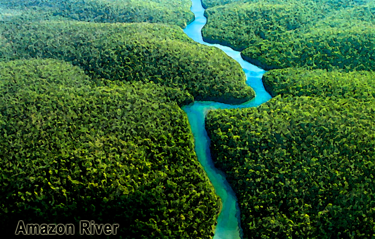 Peru Amazon River Trees Wallpaper Hd Free - South American Amazon - HD Wallpaper 