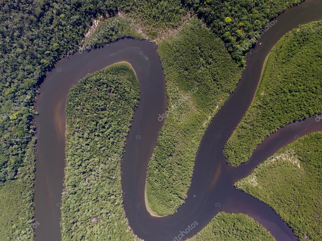 Amazon Rainforest - HD Wallpaper 