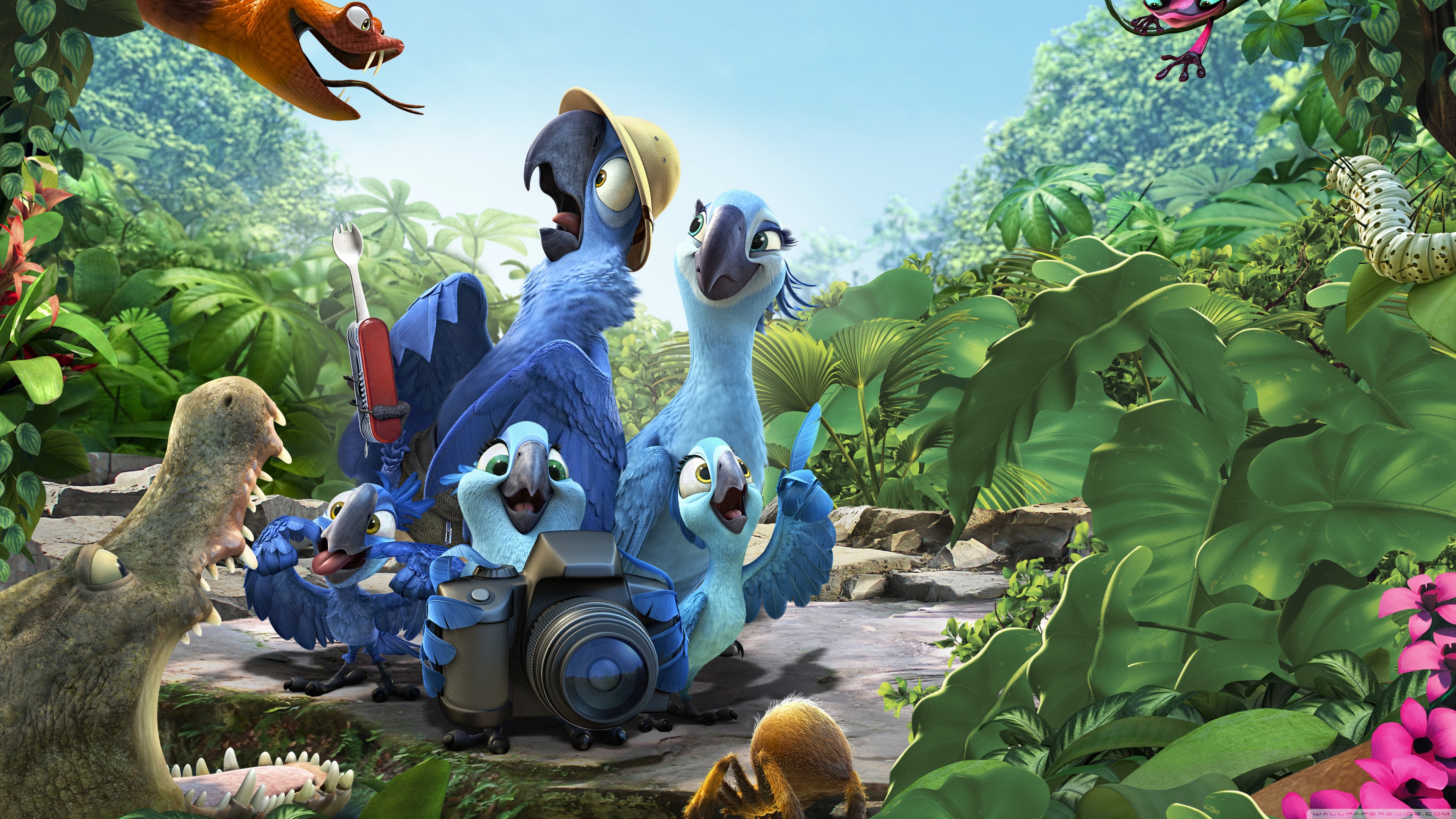 Cartoon Forest Full Hd - HD Wallpaper 