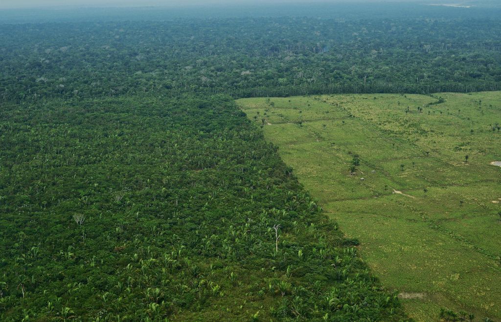 Amazon Rainforest Deforestation - Amazon Rainforest 2018 - HD Wallpaper 