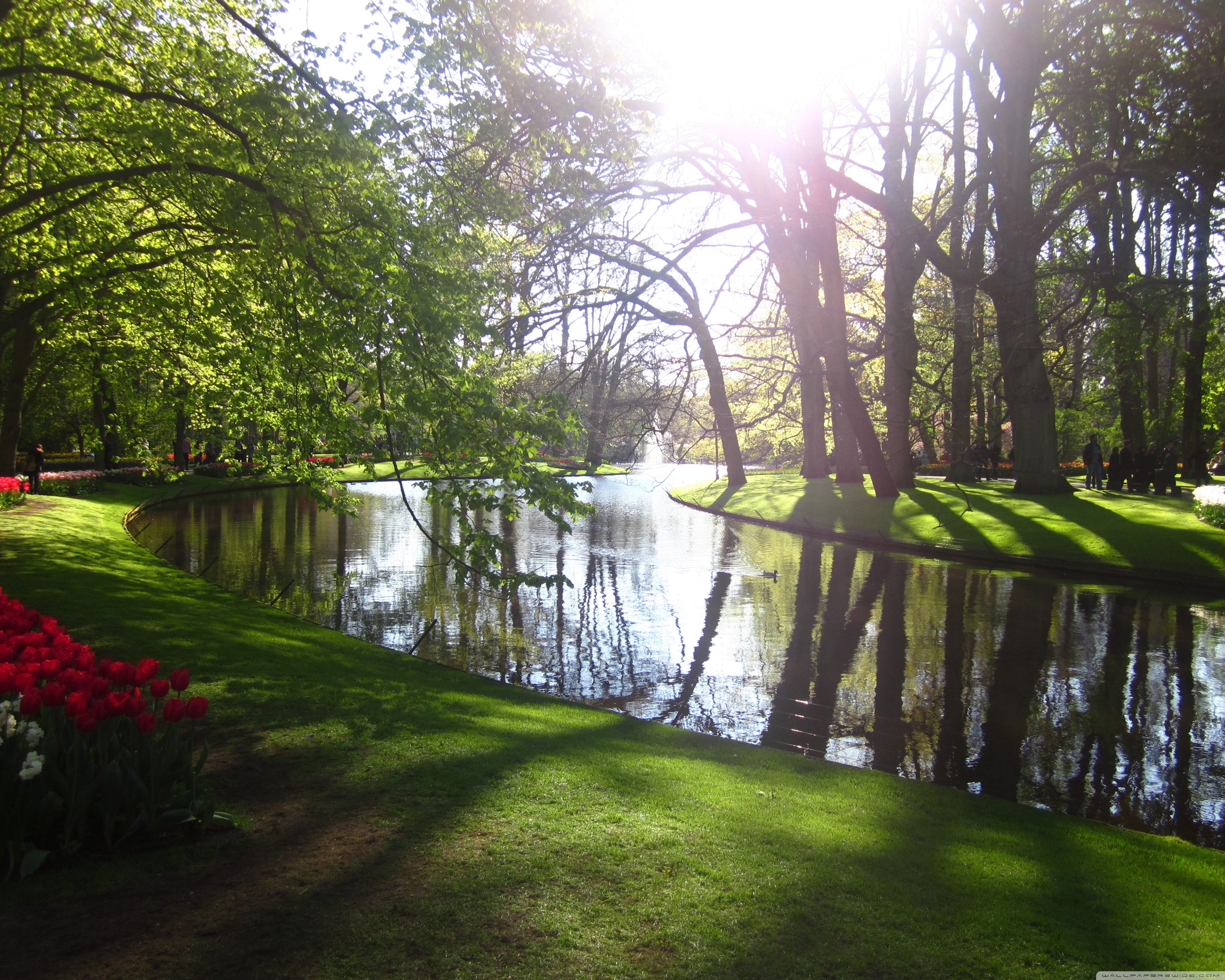 Скачать Заставки На Ноутбук - HD Wallpaper 