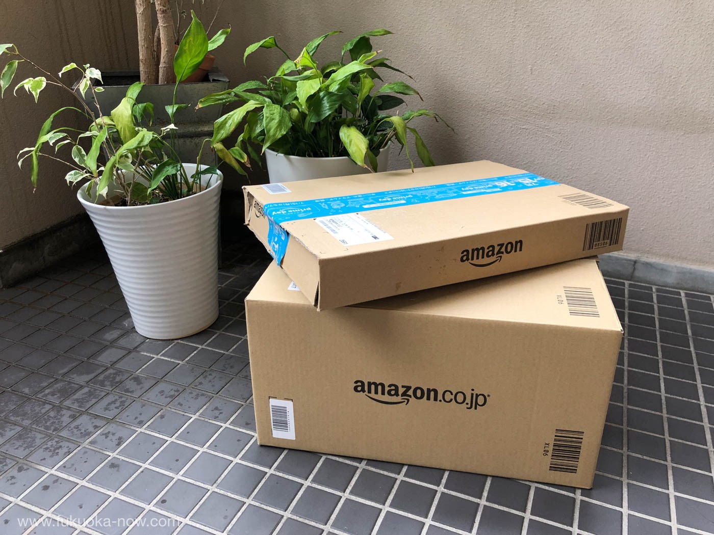 Flowerpot - HD Wallpaper 