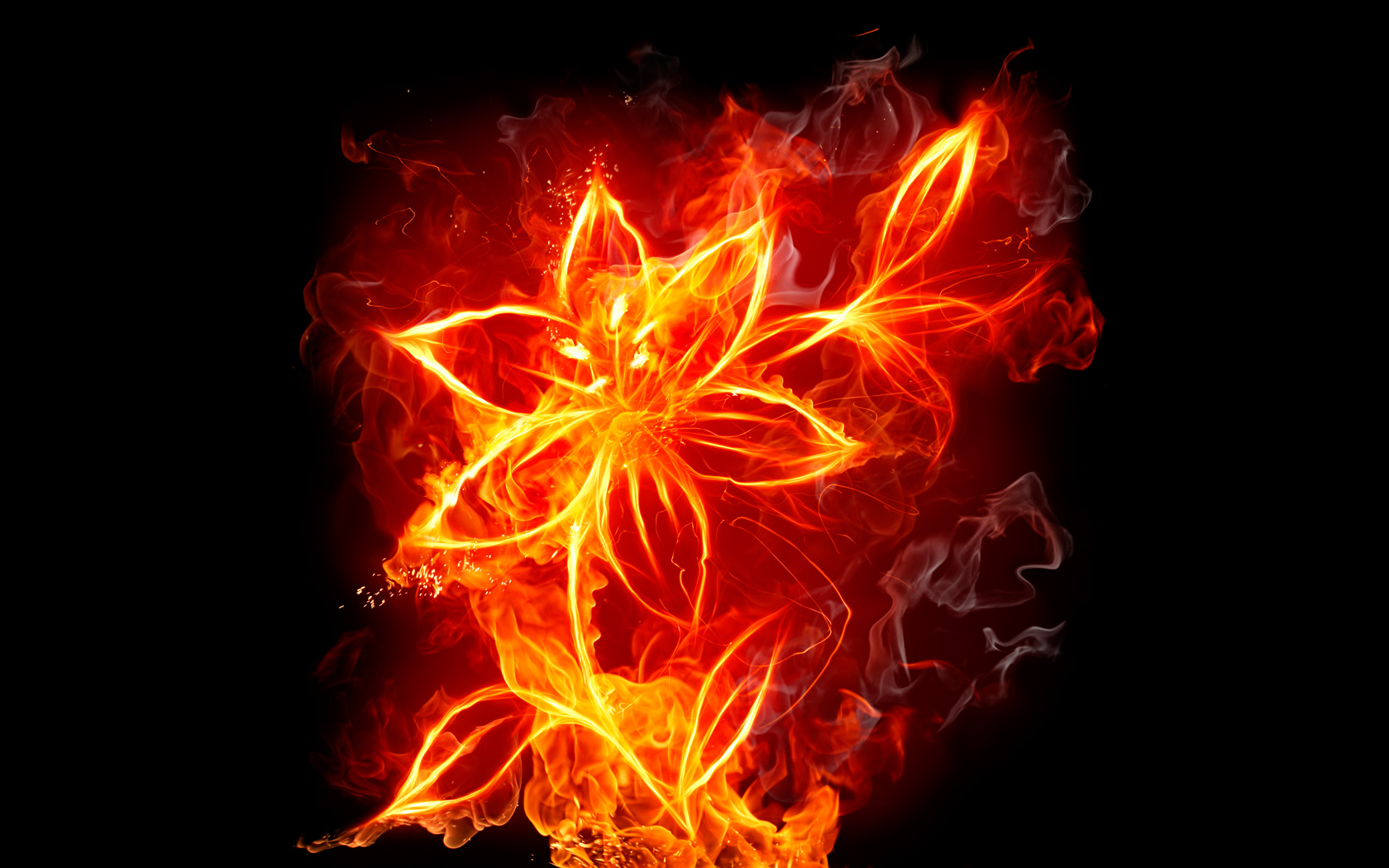 Kindle Fire Wallpapers Group - Fire Flower Background - HD Wallpaper 