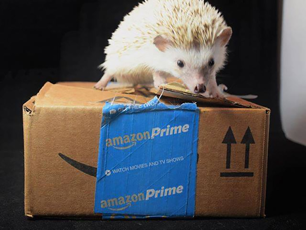 Amazon Music - HD Wallpaper 