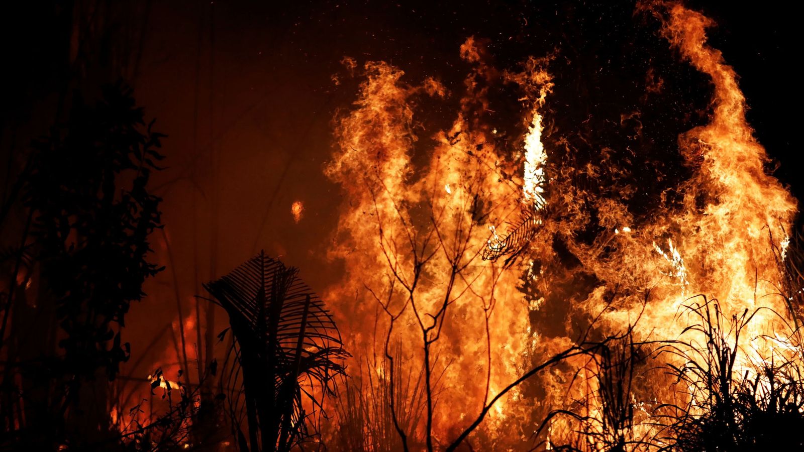Amazon Fires - Amazon Rainforest Fire 2019 - HD Wallpaper 