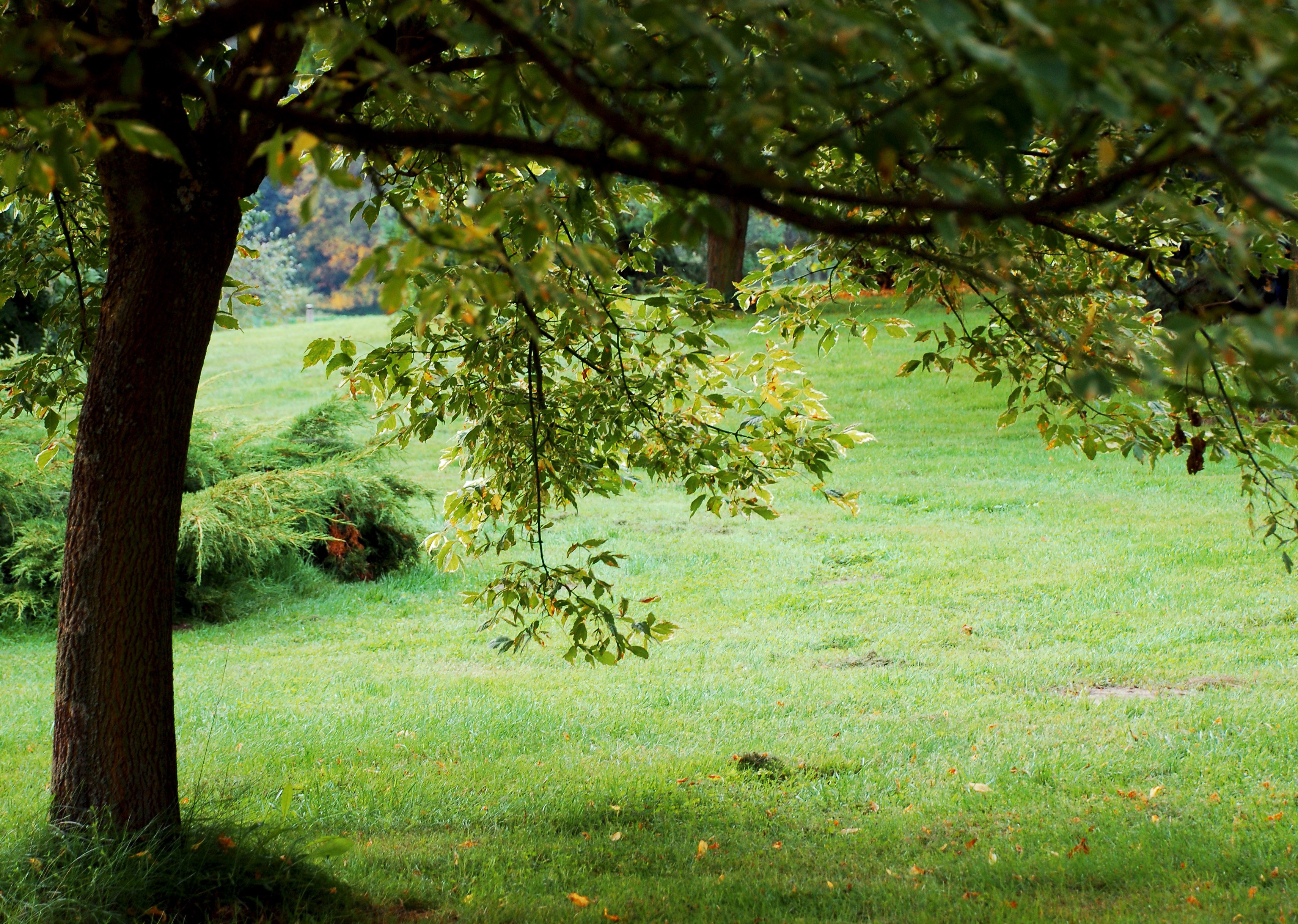 Hình Nền Thiên Nhiên - HD Wallpaper 