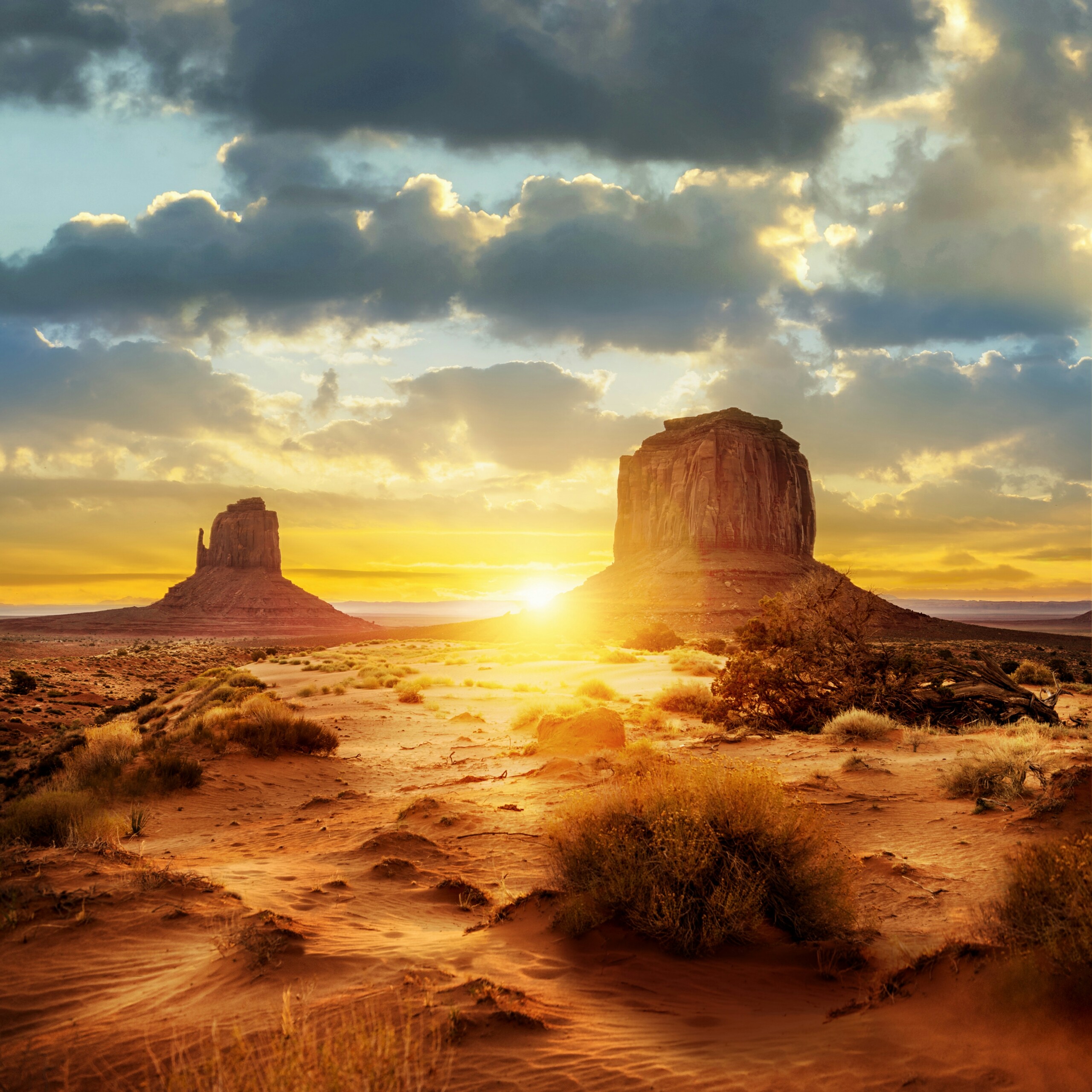 Aquarium Desert Poster - HD Wallpaper 