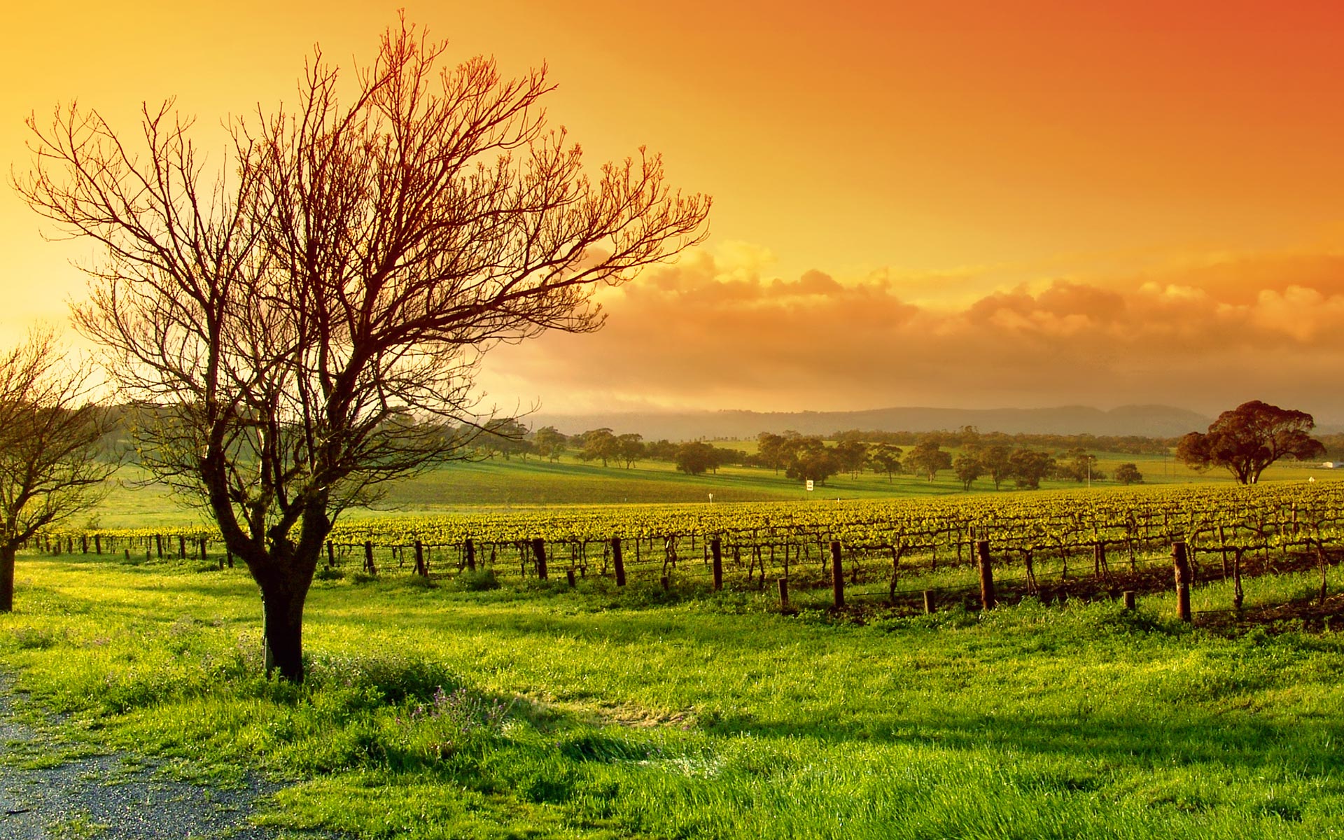 Nature Hd Wallpapers - Country Scenery Facebook Cover - HD Wallpaper 