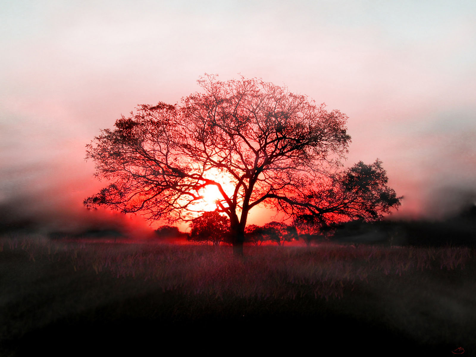 Real A Beautiful Sunset - HD Wallpaper 