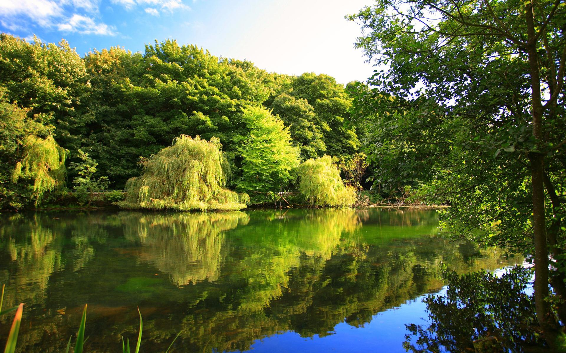 Hd Nature Green Hd - HD Wallpaper 