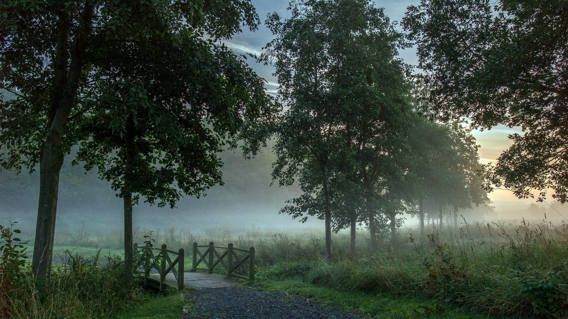 Nature And Mist 1920x1080 Wallpaper Teahub Io